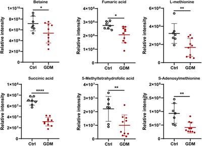 Integrated Multi-Omics Analysis Reveals the Effect of Maternal Gestational Diabetes on Fetal Mouse Hippocampi